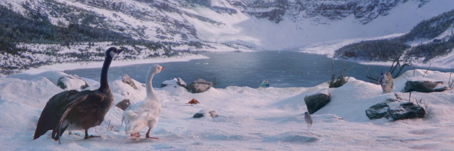 Pour les Fêtes, Tim Hortons lance une publicité télé et un livre pour enfants, intitulé Un nid dans le Nord, dont la totalité des profits de la vente sera versée à l'Agence des Nations Unies pour les réfugiés